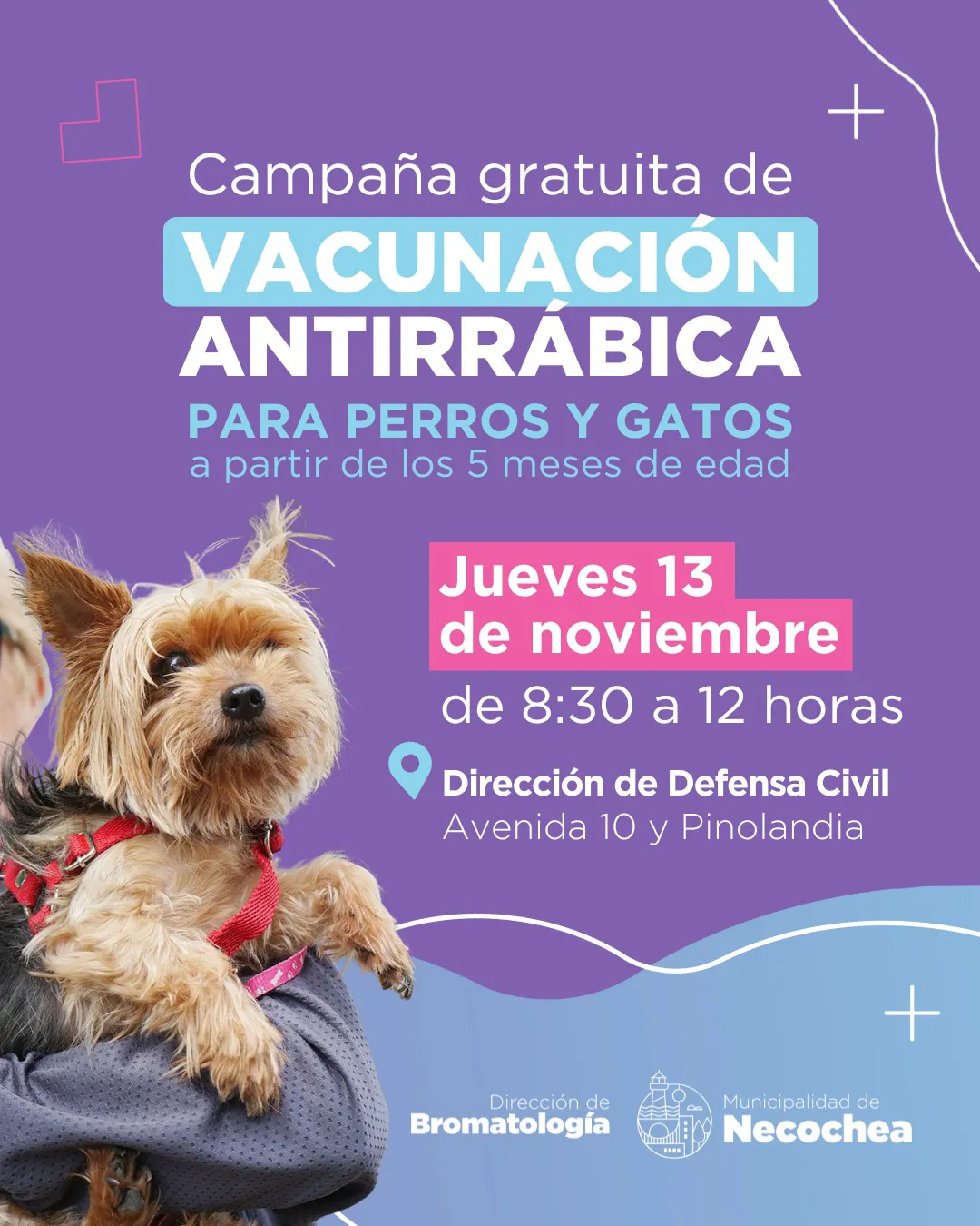 PLACA-vacunacion-antirrabica