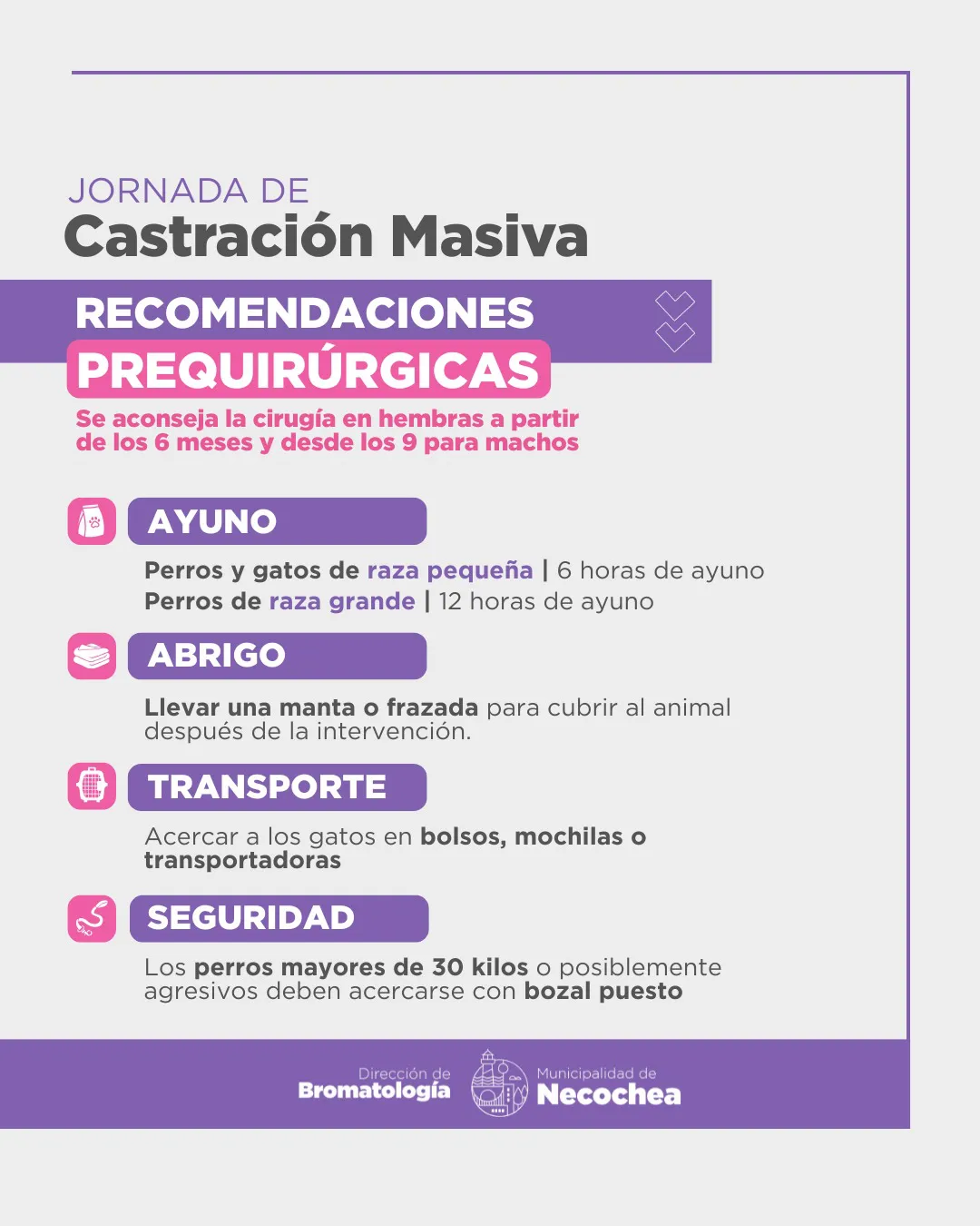 589153276_17873039823462668_2914524465063098071_n