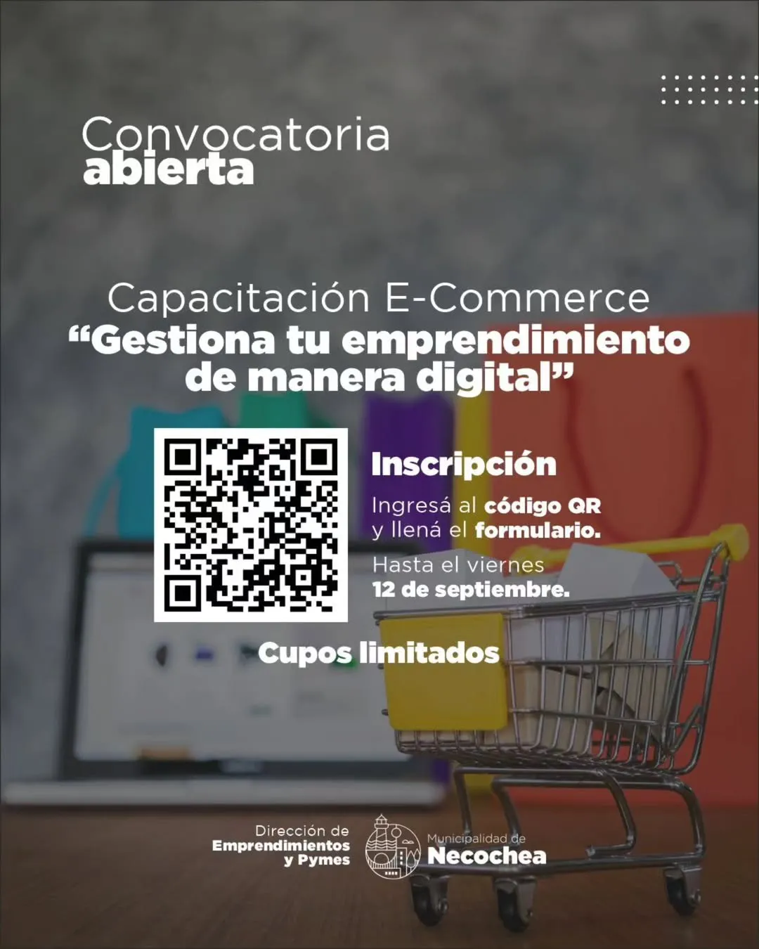 PLACA-capacitacion-Ecommerce