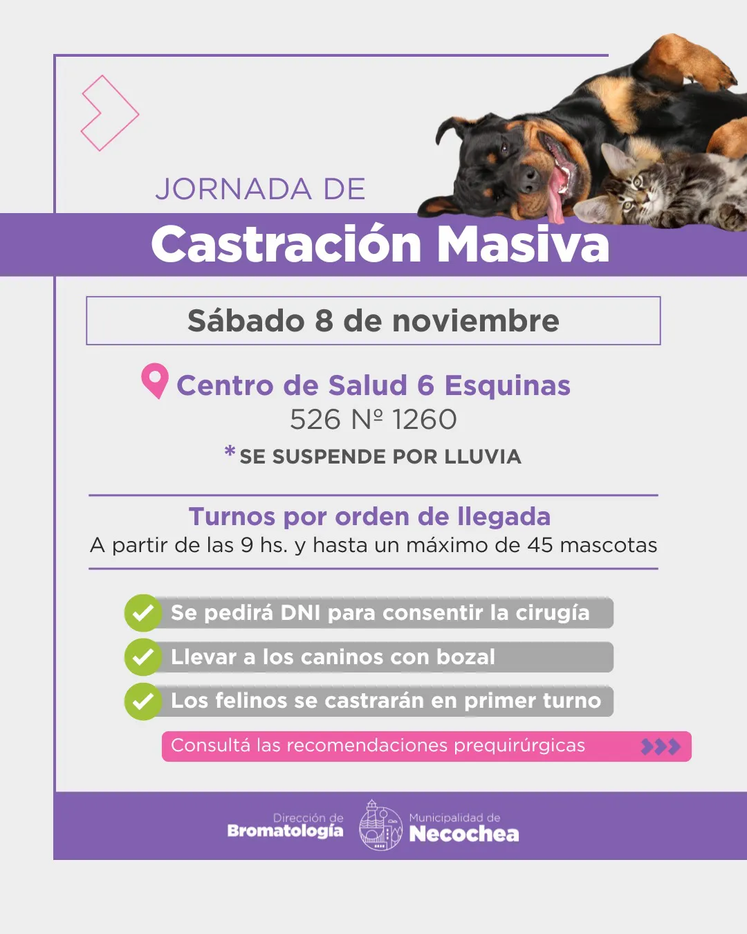 PLACA-castracion-masiva-6-Esquinas