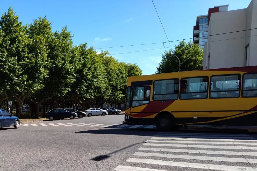 26-01-FOTO-Transporte-Gratis-Festival