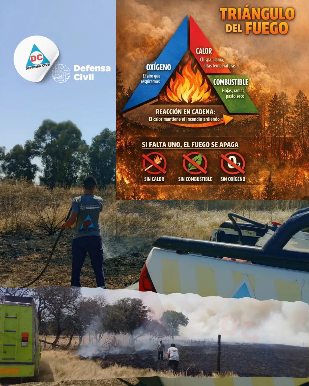 WhatsApp-Image-2026-01-08-at-10.02.50-AM