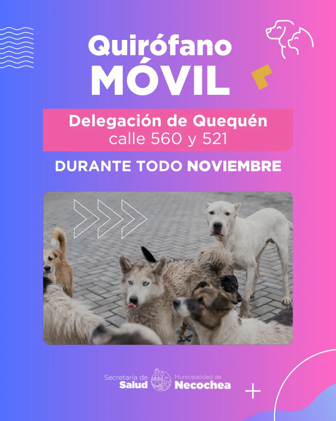 PLACA-Quirofano-Movil-noviembre