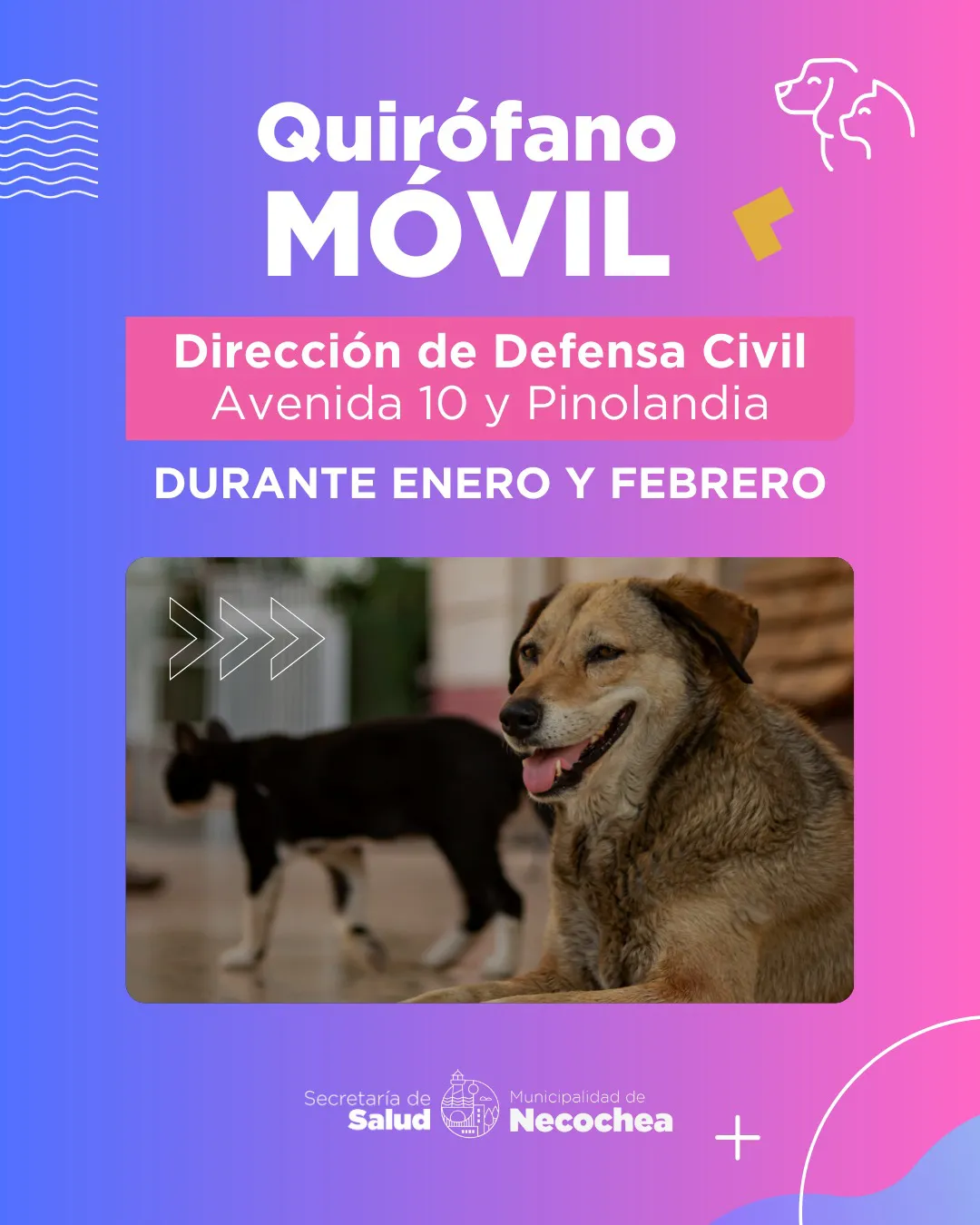 29-12-PLACA-Quirofano-Movil